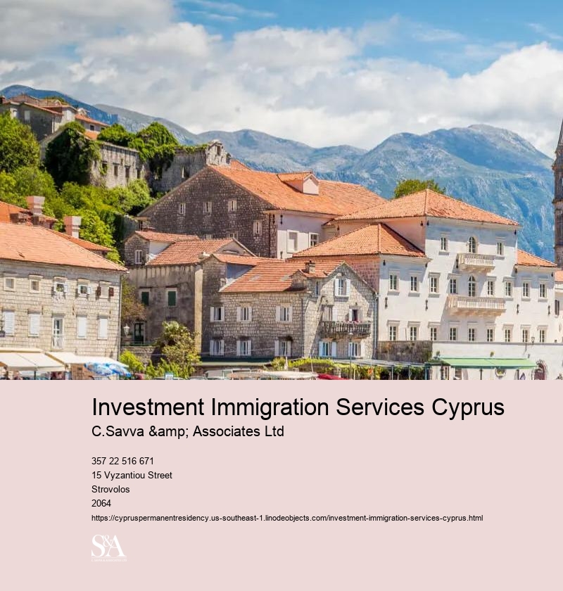 Investor Immigration Firm Cyprus